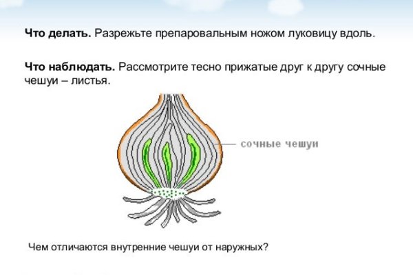 Как восстановить доступ к аккаунту кракен