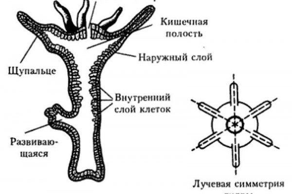 Kra12.gl