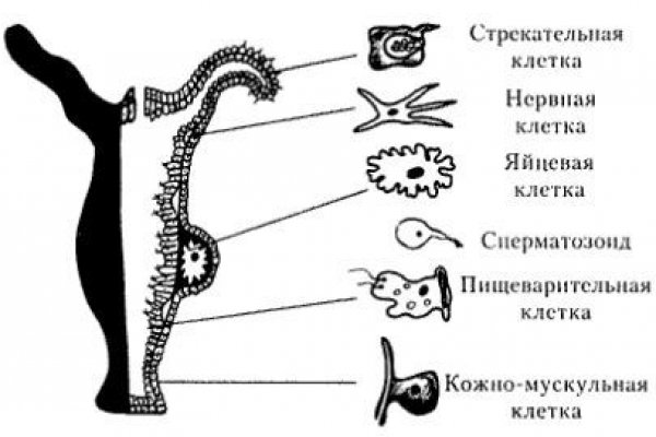 Кракен официальный